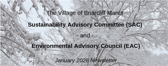 SAC & EAC Winter 2026 Newsletter