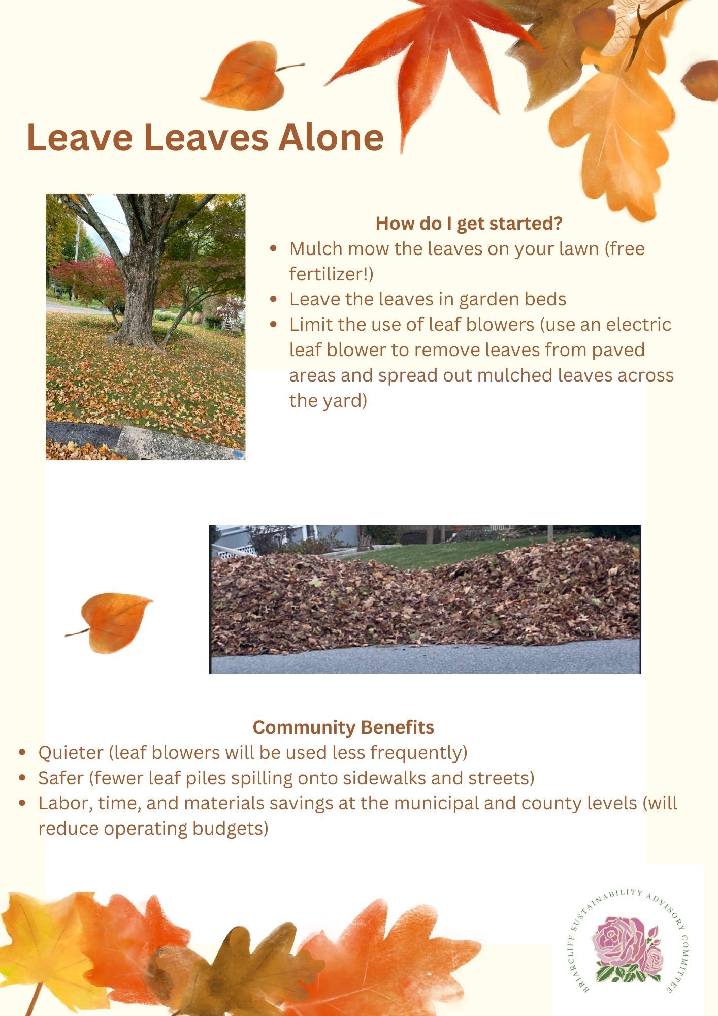 Leave Leaves Alone flyer